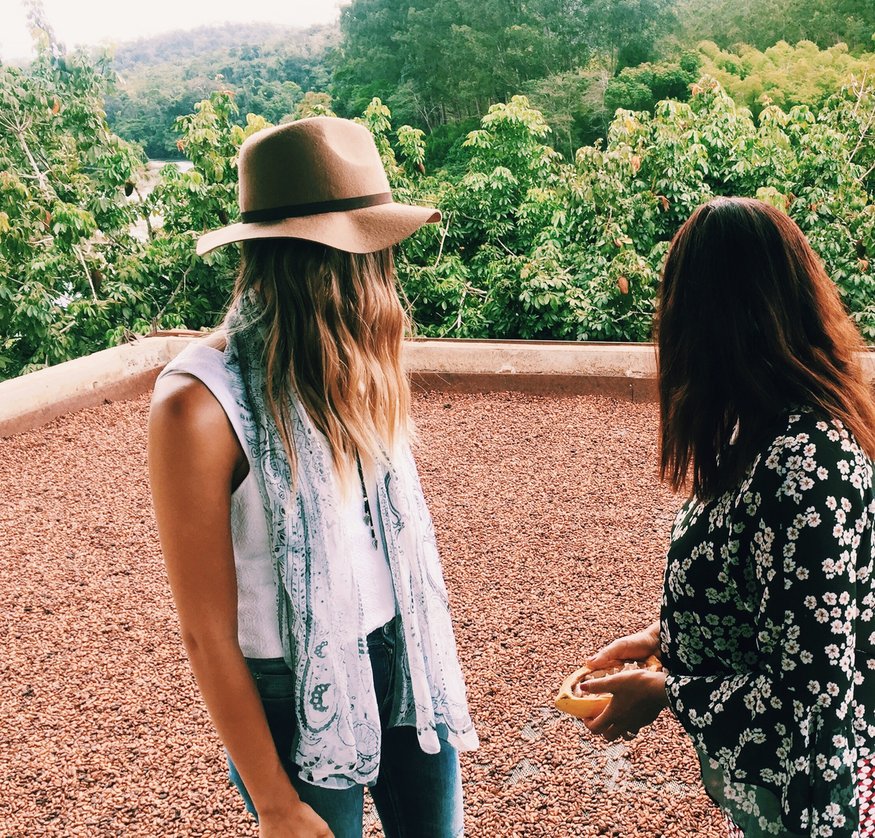 how-i-started-a-20k-month-business-selling-high-fat-no-crap-nutritious-snacks