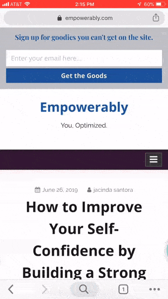 on-building-wordpress-tools-that-power-over-8-million-websites