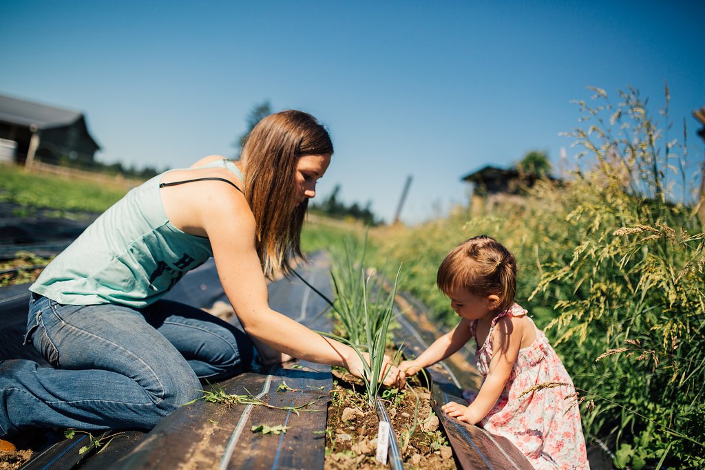 how-we-left-our-jobs-at-tech-companies-to-sell-farm-fresh-cocktail-ingredients