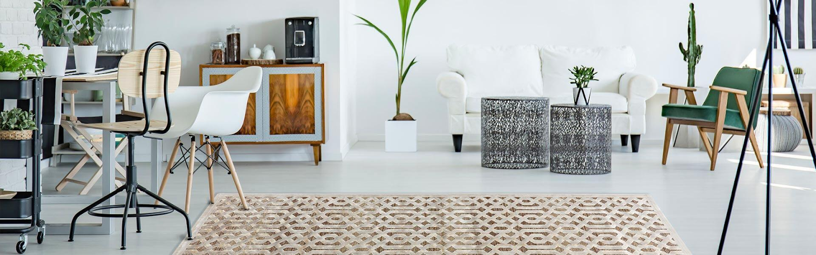 how-we-started-selling-rugs-and-carpets-online-in-the-early-2000s