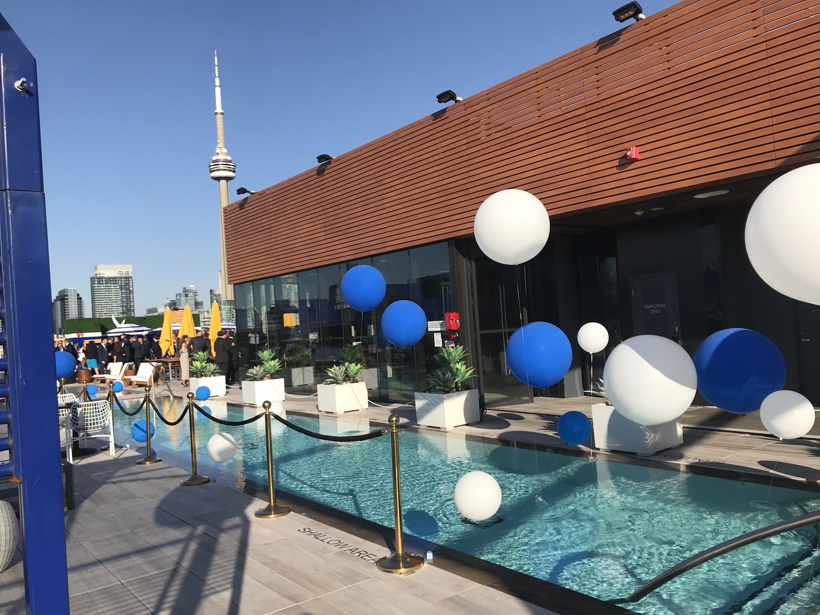 how-i-started-a-20k-month-balloon-installations-and-decorations-business