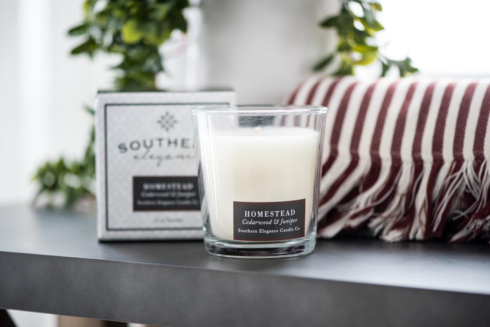 how-i-started-a-20-month-southern-inspired-candle-business