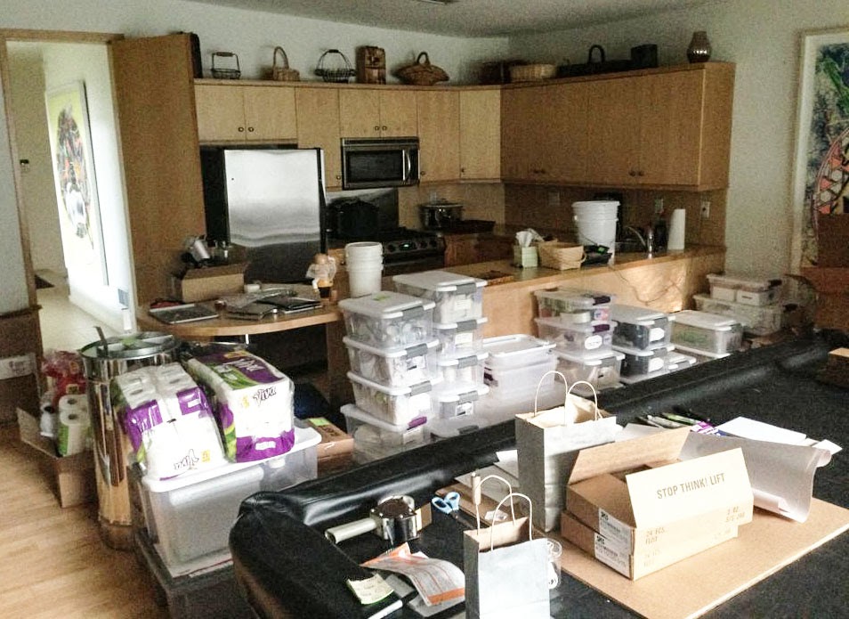how-i-started-a-33k-month-bee-inspired-goods-business