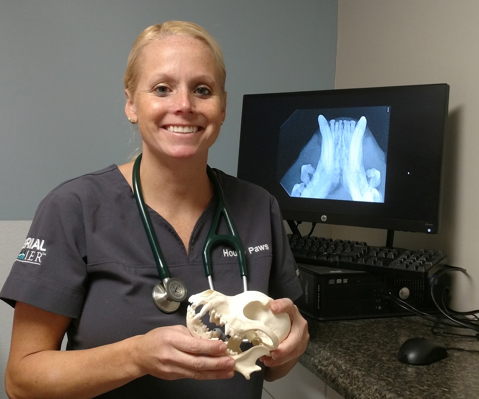 how-i-started-a-580k-month-mobile-veterinary-service