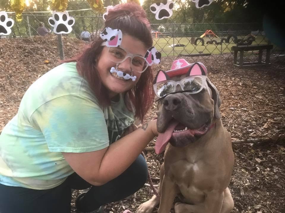 how-i-started-a-580k-month-mobile-veterinary-service