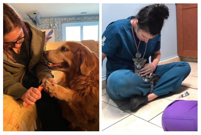 how-i-started-a-580k-month-mobile-veterinary-service