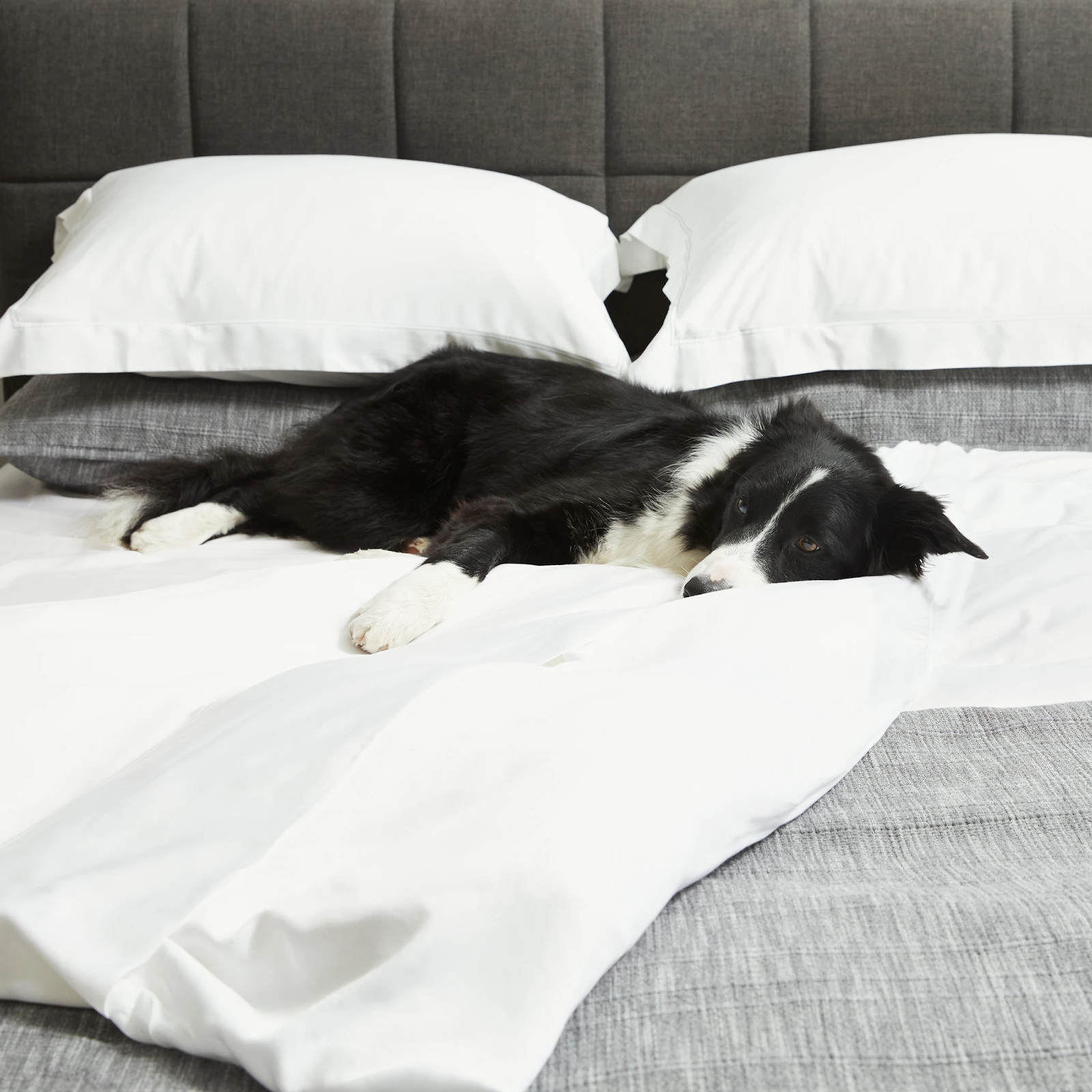 how-we-started-a-10k-month-all-natural-bedding-brand
