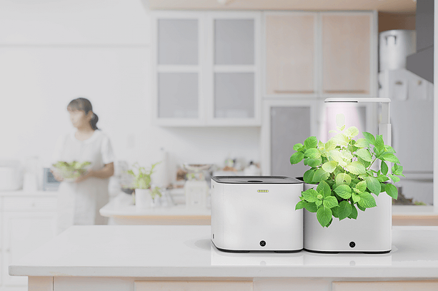 how-we-launched-a-130k-month-automated-home-growing-box