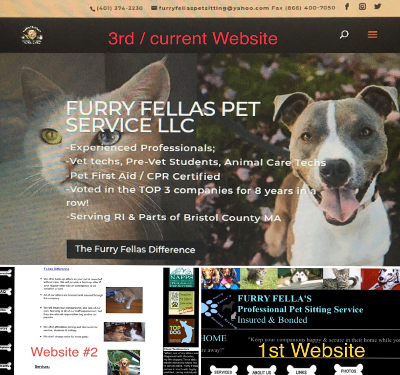 how-i-started-a-54k-month-pet-sitting-and-dog-walking-business