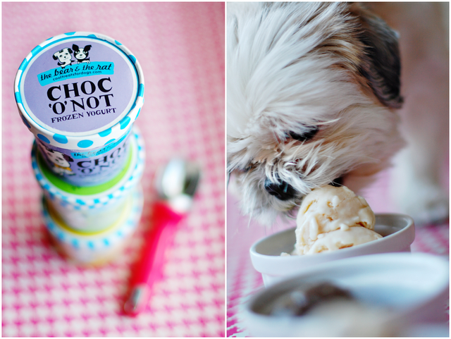 on-starting-a-frozen-yogurt-dog-treats-business
