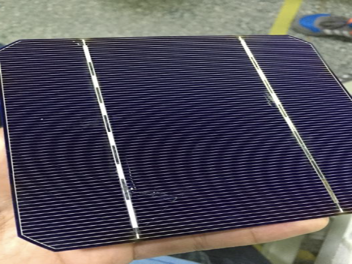 how-i-started-a-60m-year-renewable-energy-company-specialized-in-diy-solar-solutions
