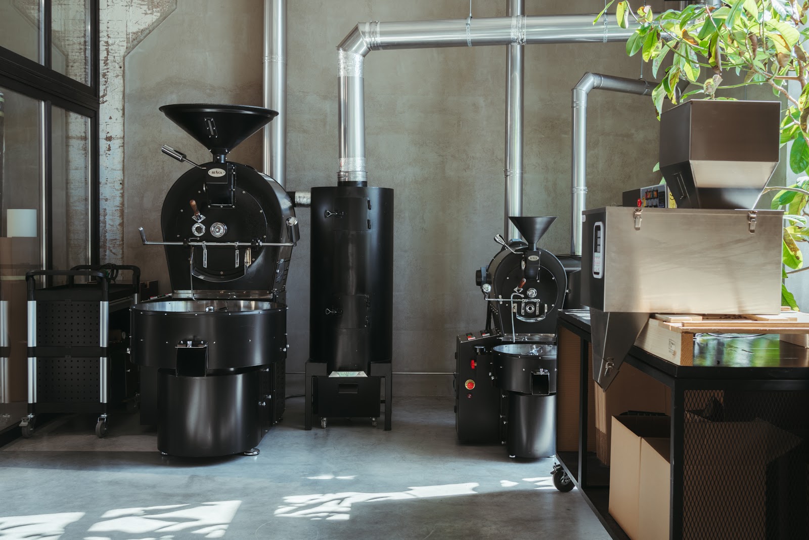 how-we-started-a-80k-month-coffee-roasting-company