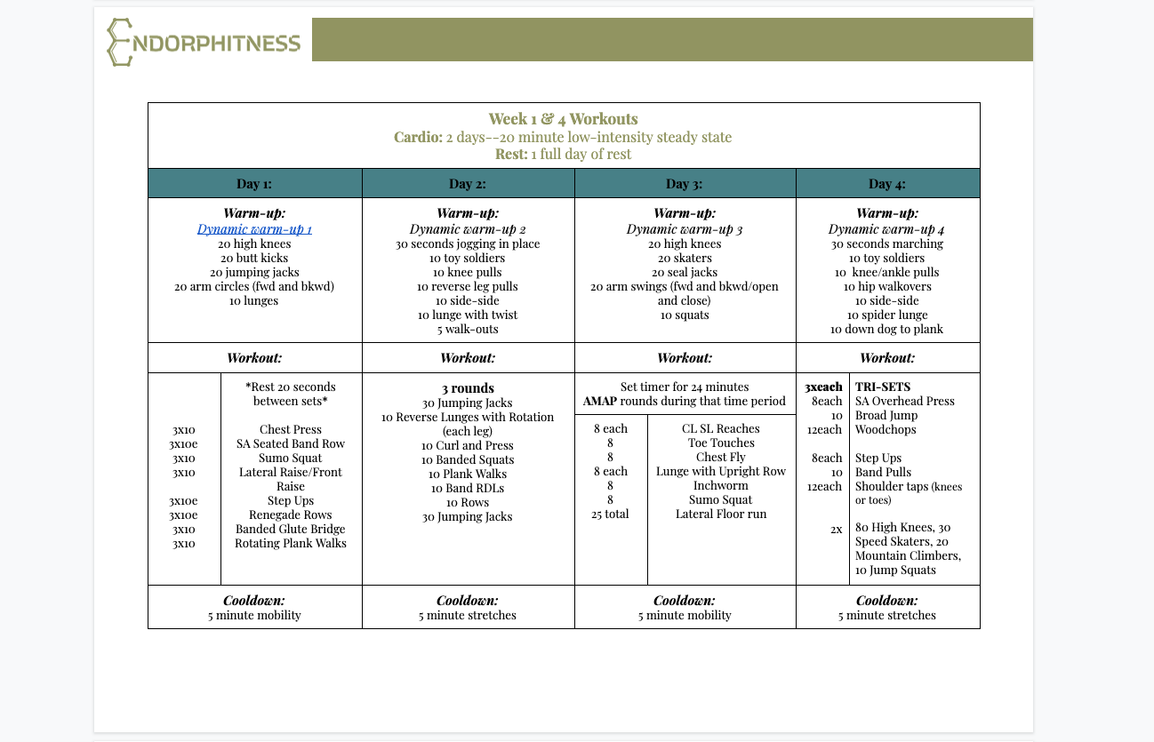 how-i-started-a-10k-month-online-fitness-training-program