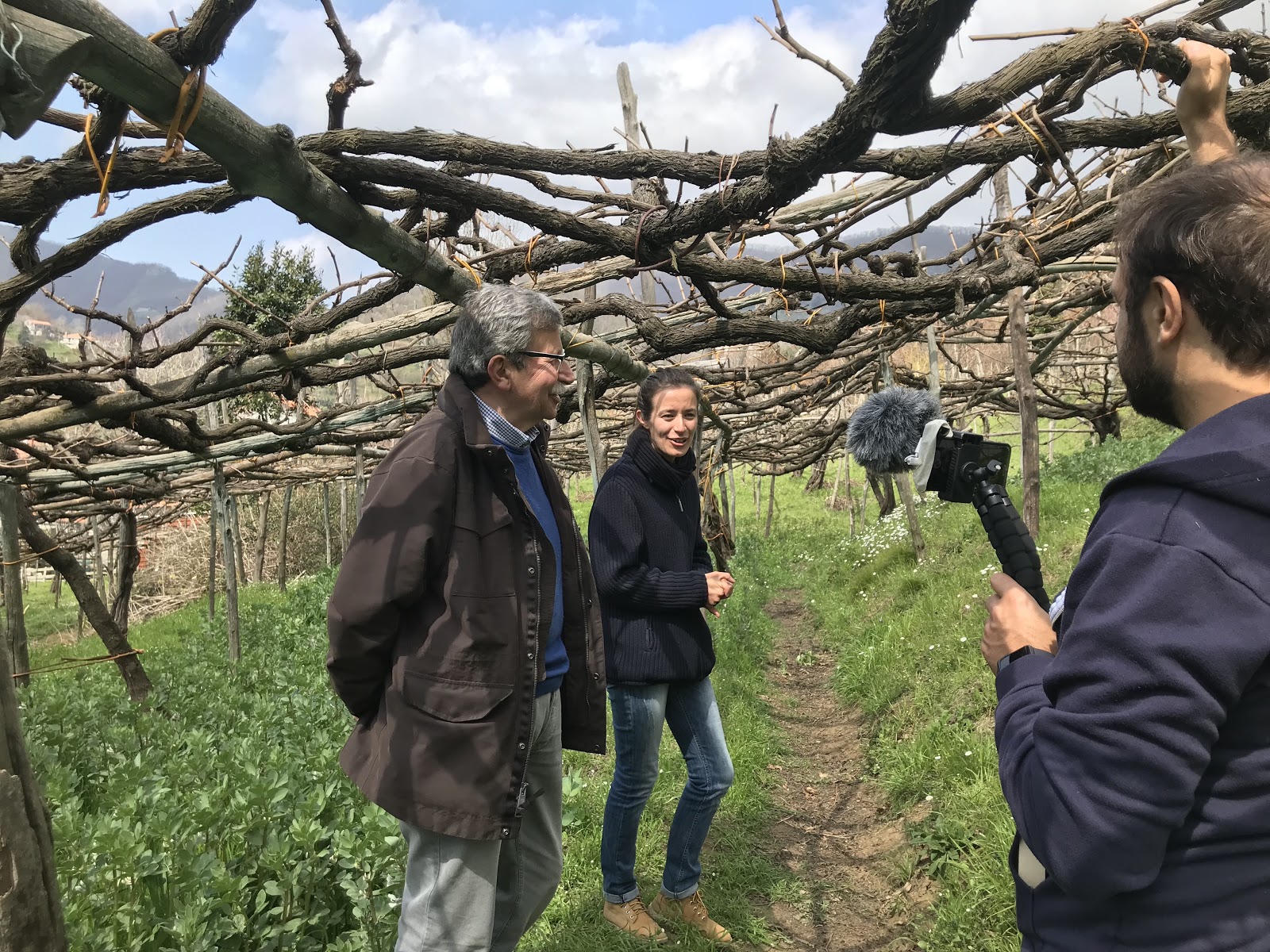 how-we-started-a-75k-month-wine-club