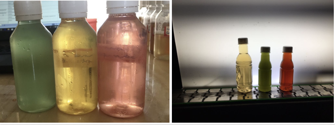 how-i-started-a-50k-month-ayurveda-beauty-and-wellness-beverage