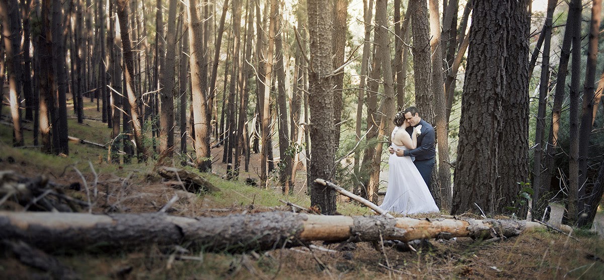 how-i-started-a-career-as-wedding-photographer-that-generates-over-6-figures-per-year