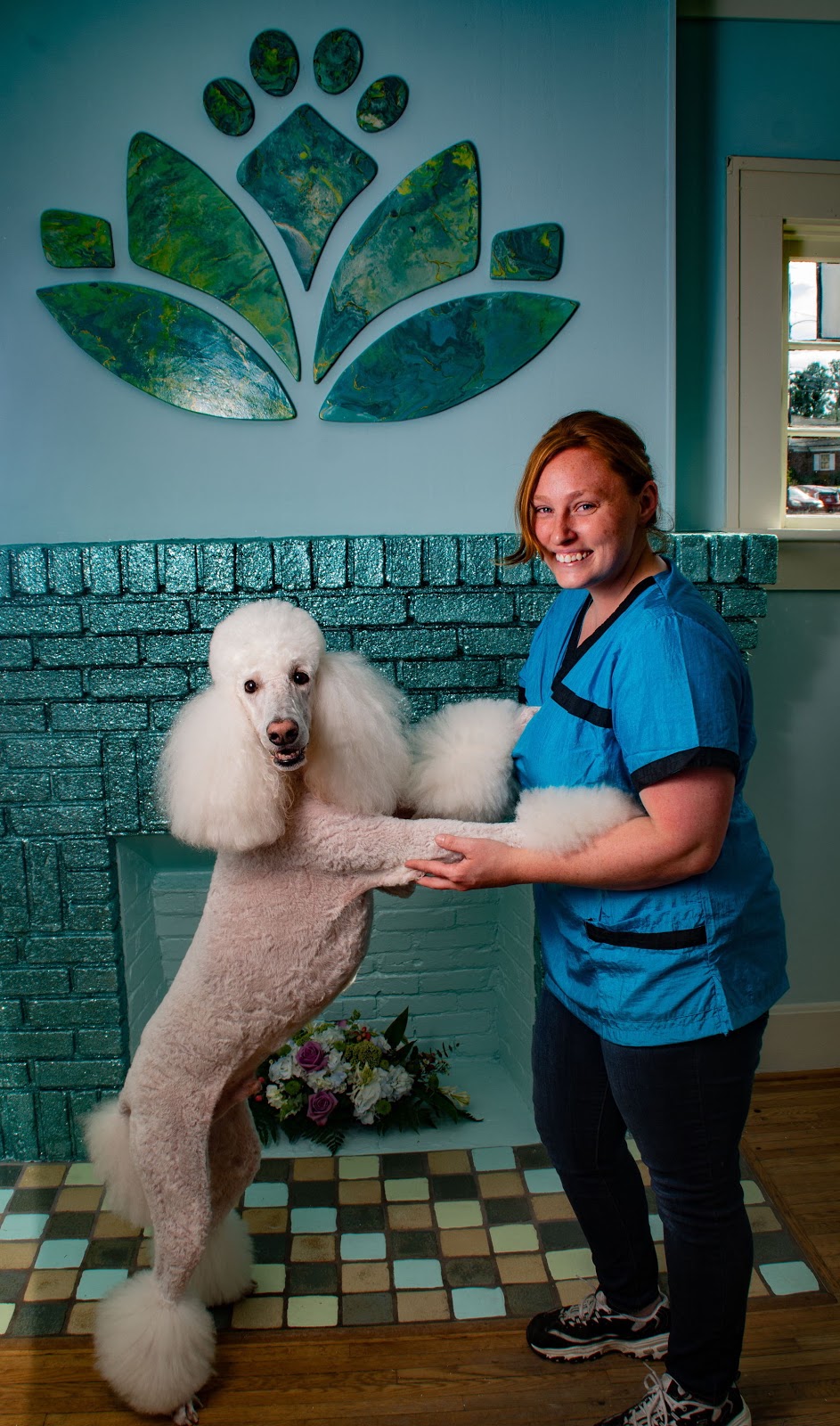 how-i-started-a-20k-month-pet-spa-that-provides-a-more-comfortable-grooming-experience