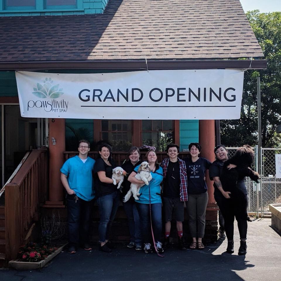 how-i-started-a-20k-month-pet-spa-that-provides-a-more-comfortable-grooming-experience