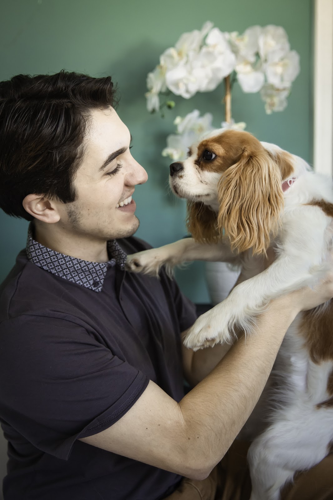 how-i-started-a-8k-month-in-home-pet-care-service