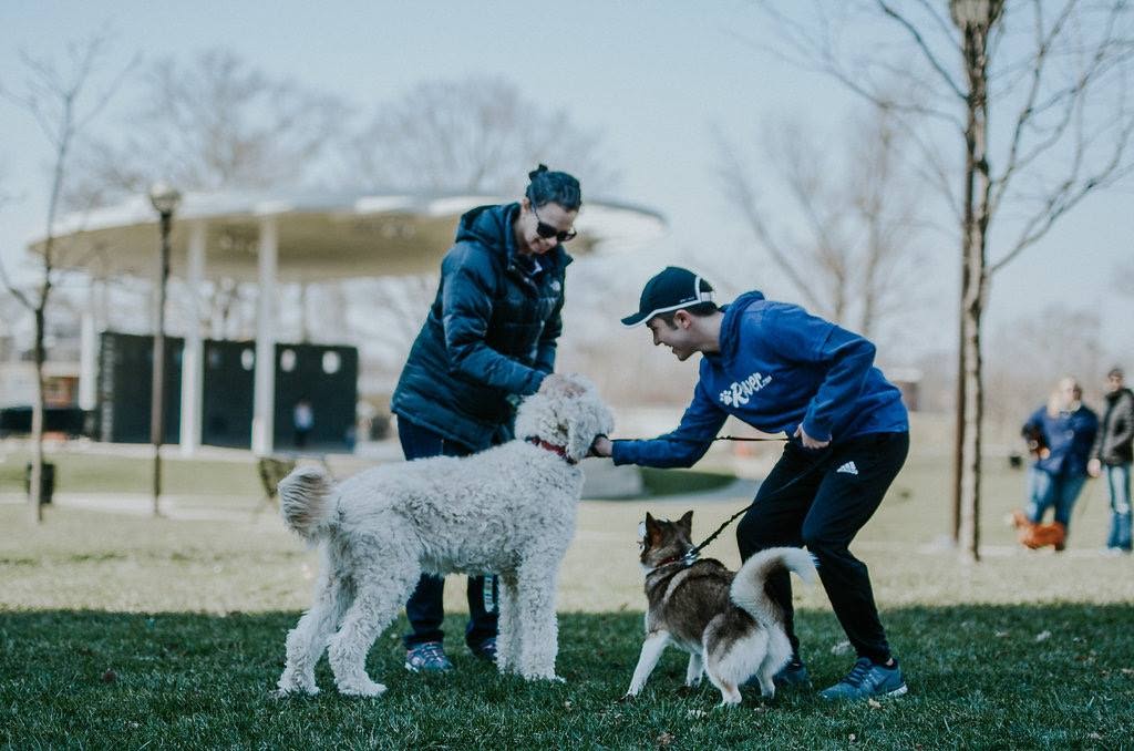 how-i-started-a-8k-month-in-home-pet-care-service