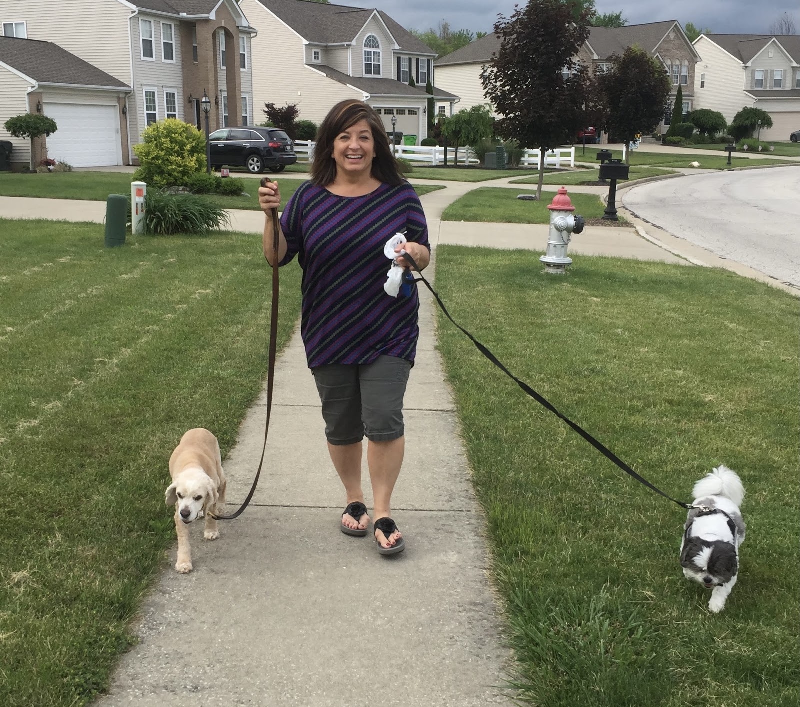 how-i-started-a-8k-month-in-home-pet-care-service
