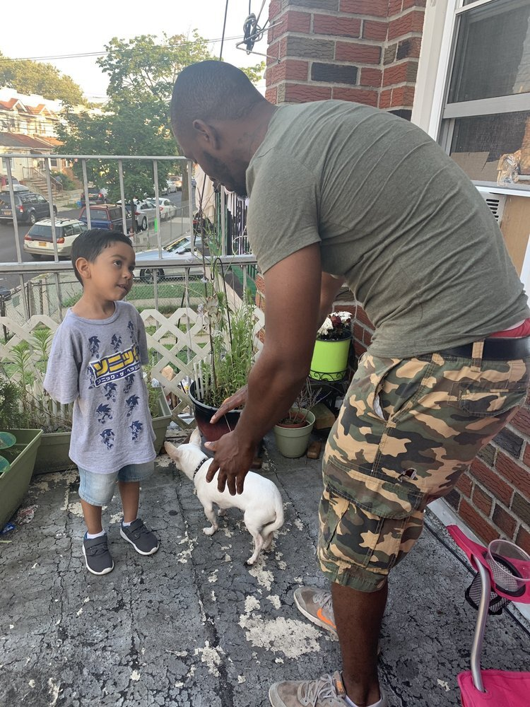 how-i-started-a-5k-month-dog-training-business