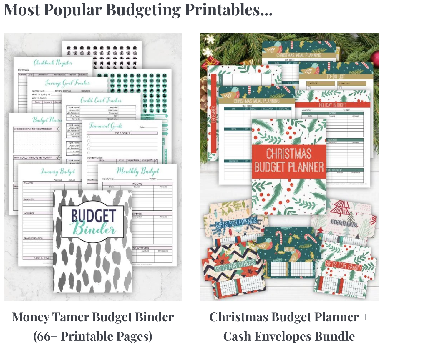 how-i-transitioned-from-vocational-zookeeper-to-starting-a-7k-month-blog-about-personal-finance-and-budgeting