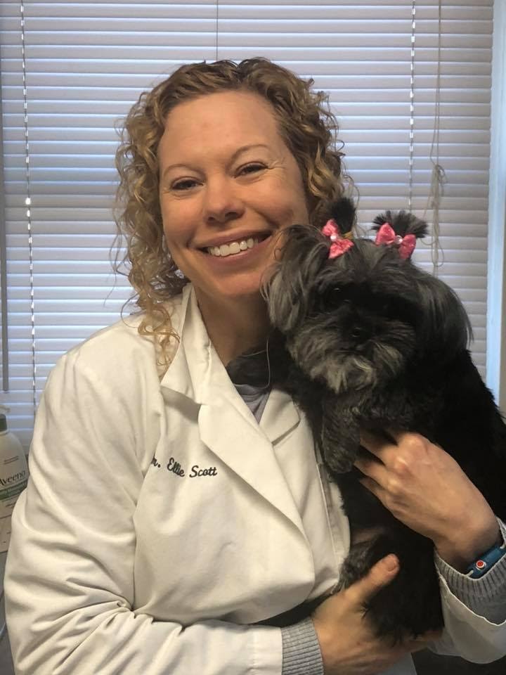 how-my-love-for-animals-led-me-to-start-a-200k-month-veterinary-hospital