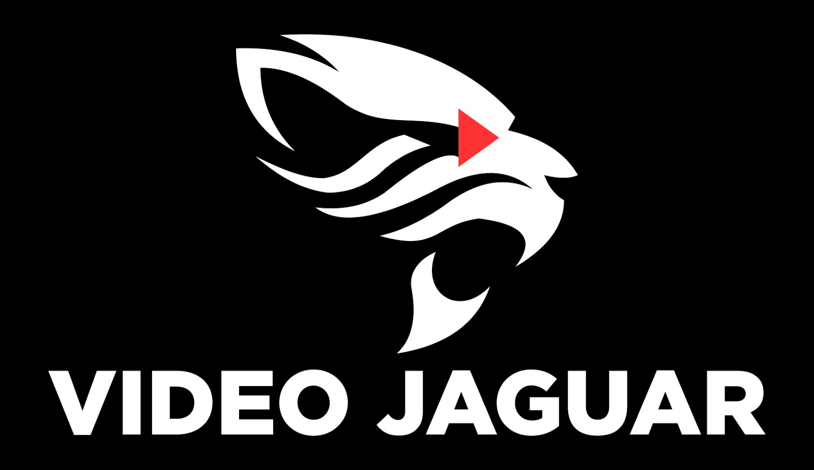 how-i-launched-a-400k-year-all-in-one-video-marketing-software