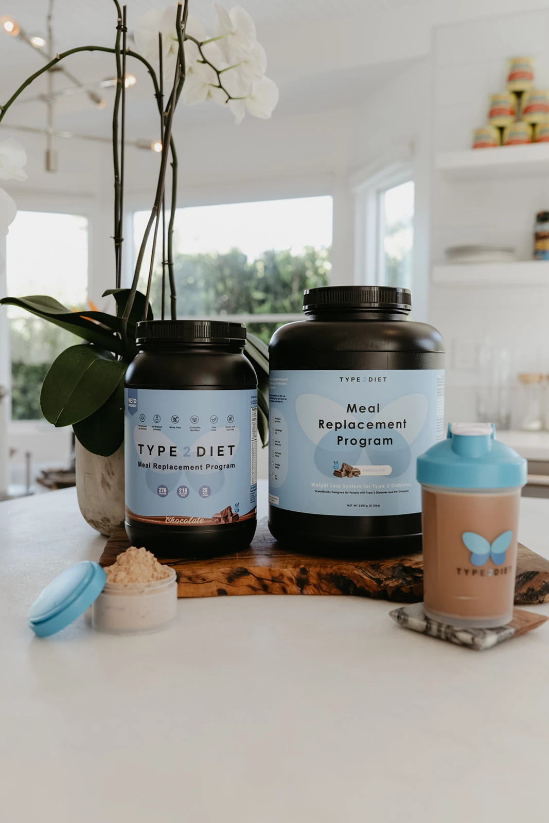 on-creating-a-meal-replacement-shake-for-people-with-diabetes