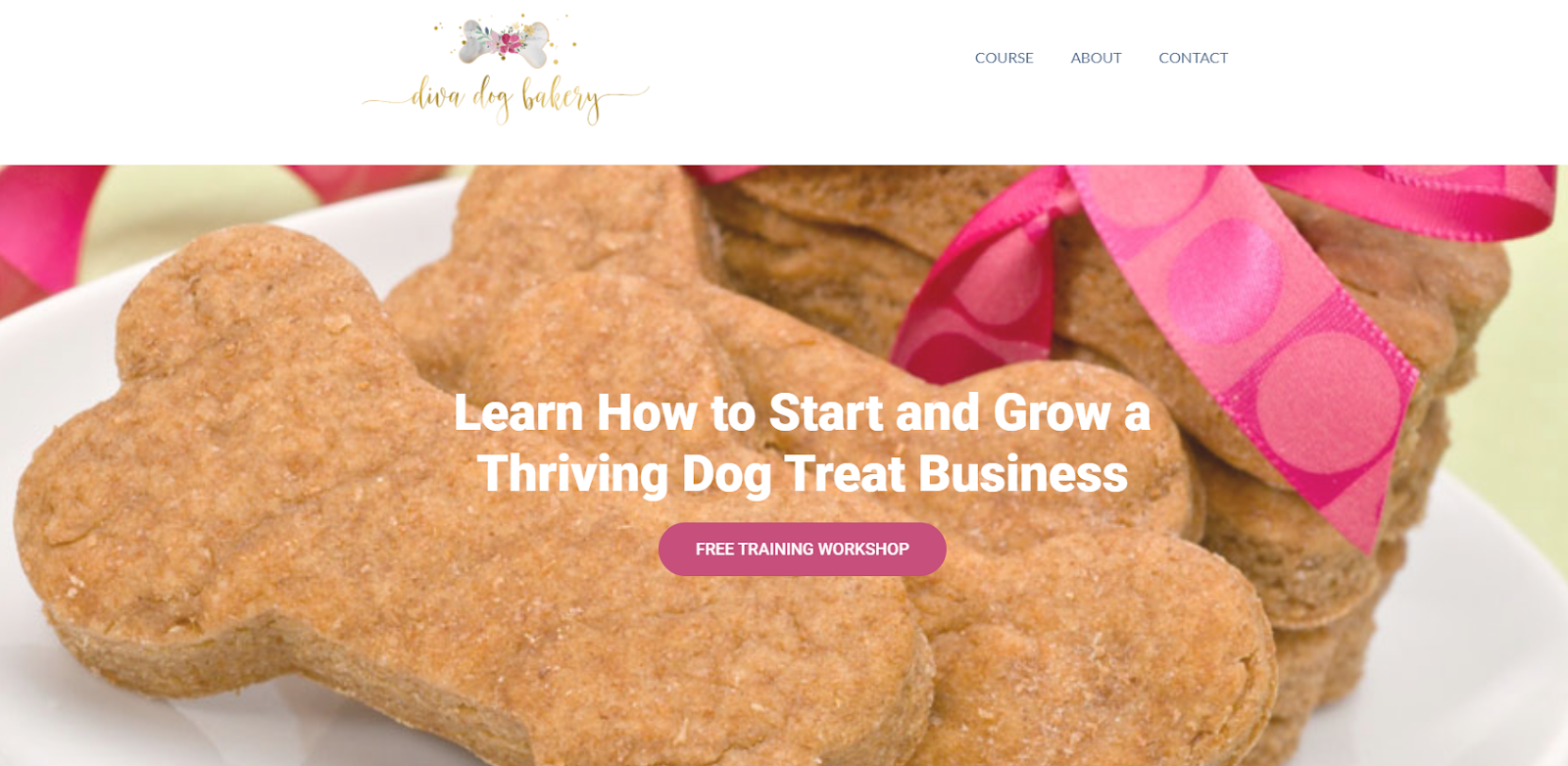 how-i-created-a-11k-month-online-course-about-how-to-start-and-grow-a-dog-treat-business