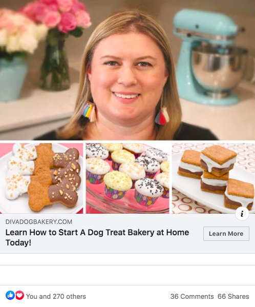 how-i-created-a-11k-month-online-course-about-how-to-start-and-grow-a-dog-treat-business