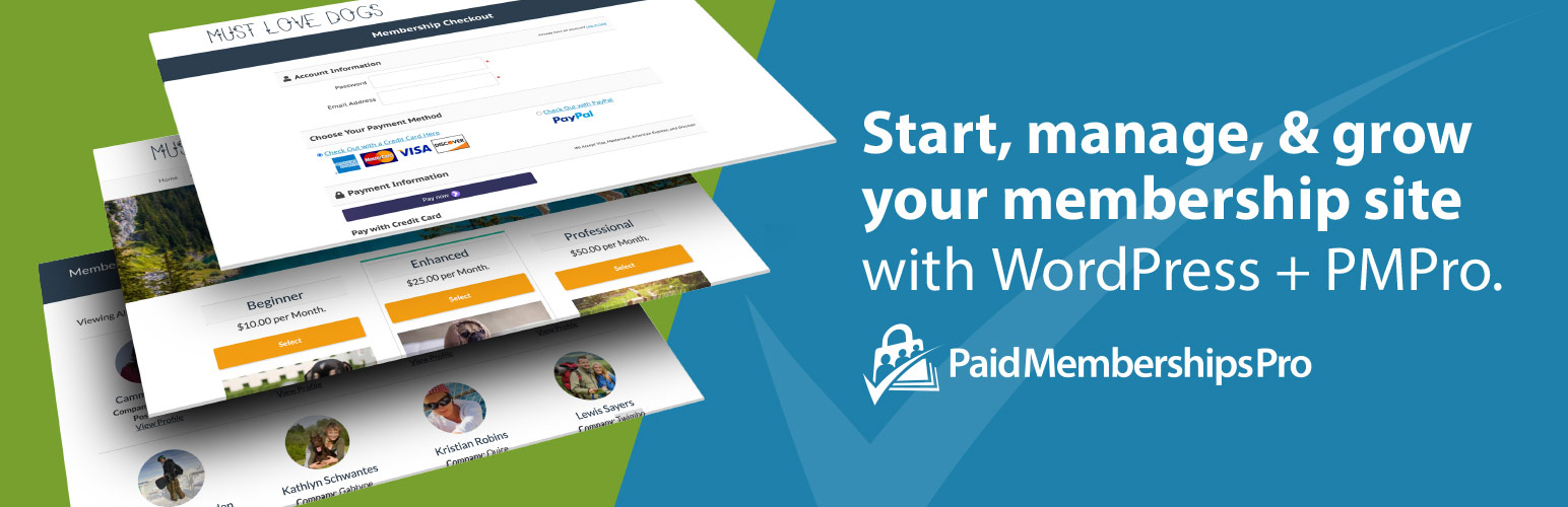 how-we-developed-a-100k-month-paid-memberships-plugin-for-wordpress