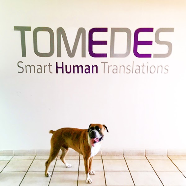how-i-started-a-1m-month-professional-translation-business