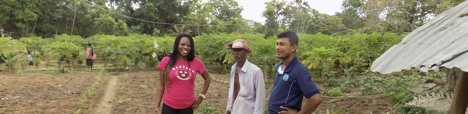 how-i-started-a-six-figure-superfood-brand-from-nigeria