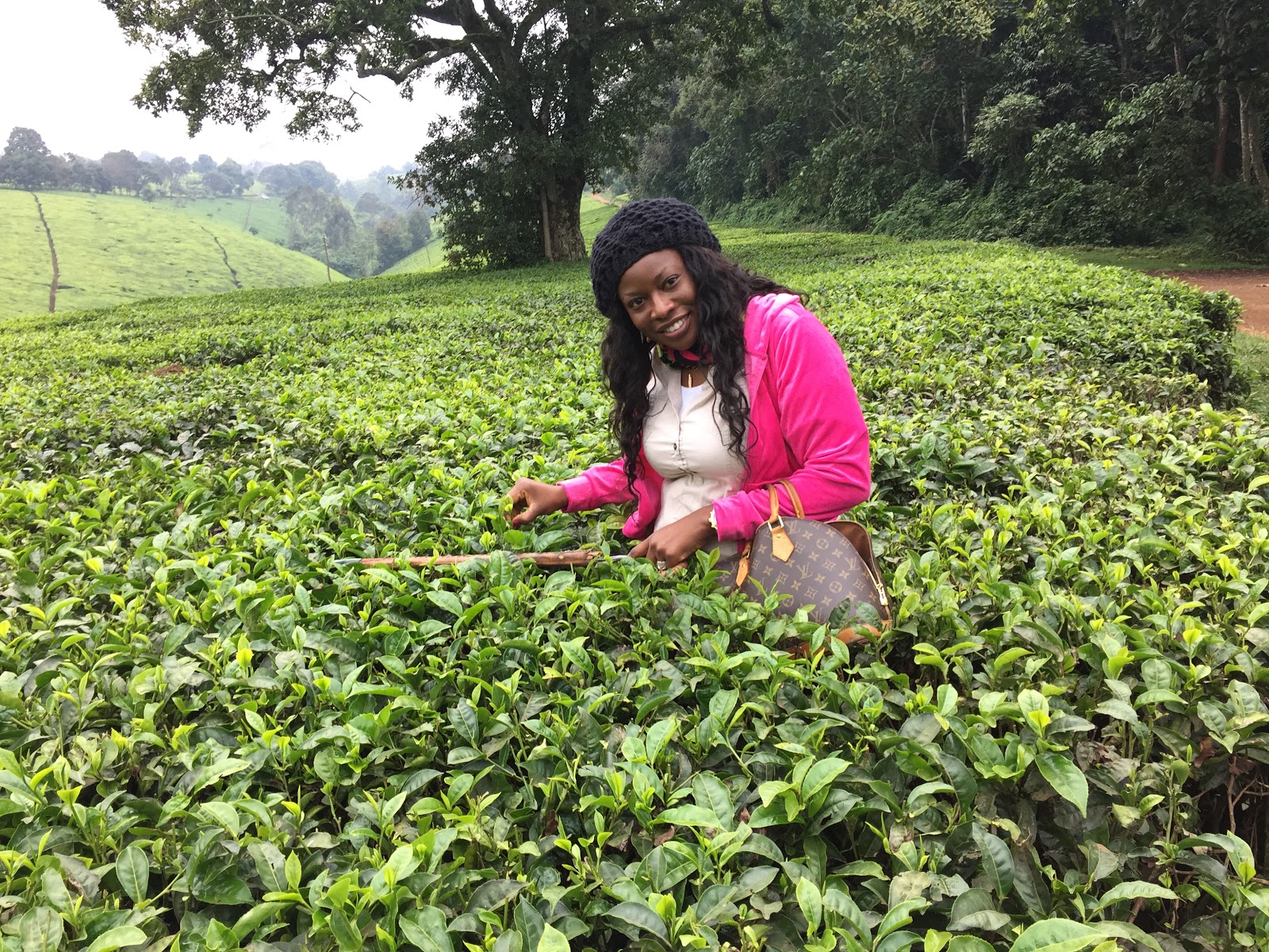 how-i-started-a-six-figure-superfood-brand-from-nigeria