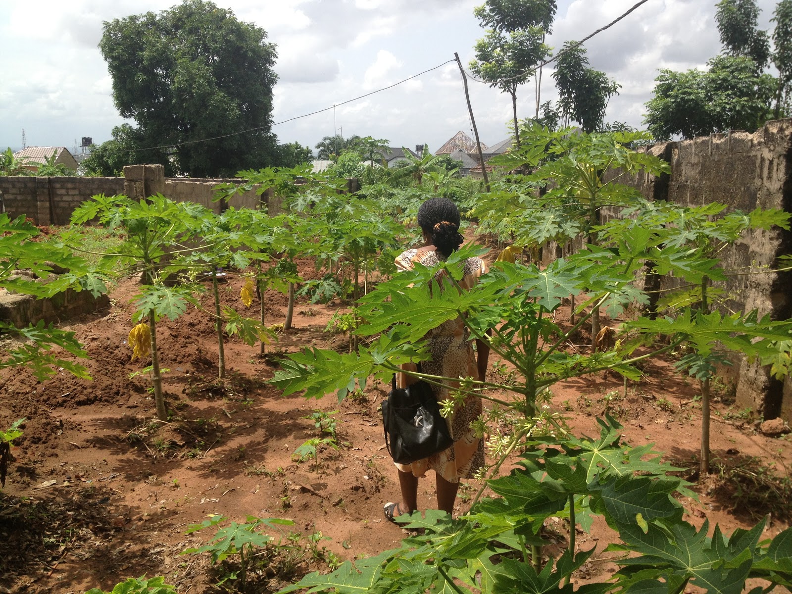 how-i-started-a-six-figure-superfood-brand-from-nigeria