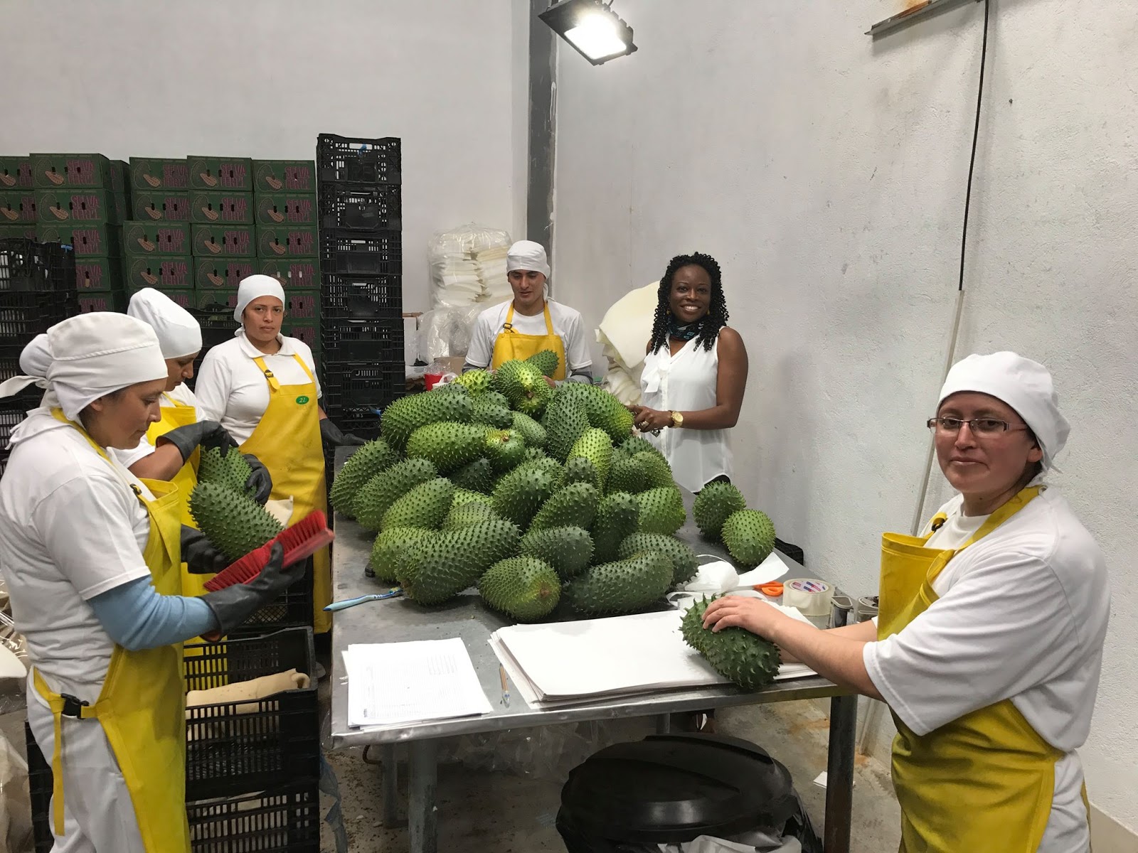 how-i-started-a-six-figure-superfood-brand-from-nigeria
