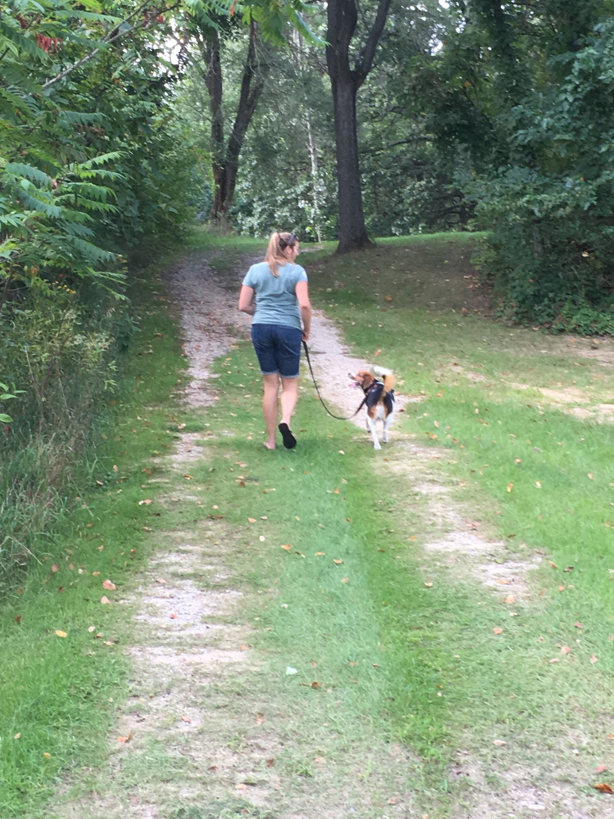 i-turned-my-love-for-animals-into-a-growing-dog-training-business