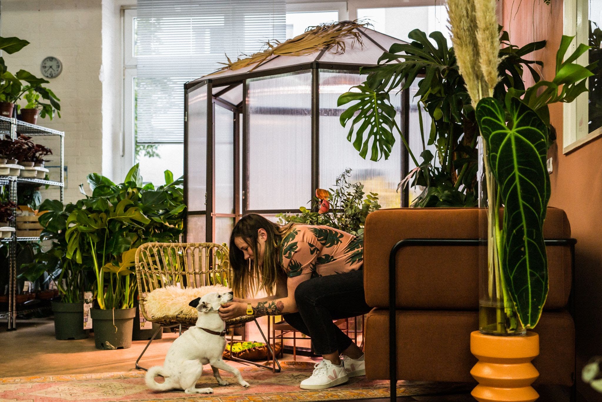 i-turned-my-plant-passion-into-a-1-2m-year-online-plant-store