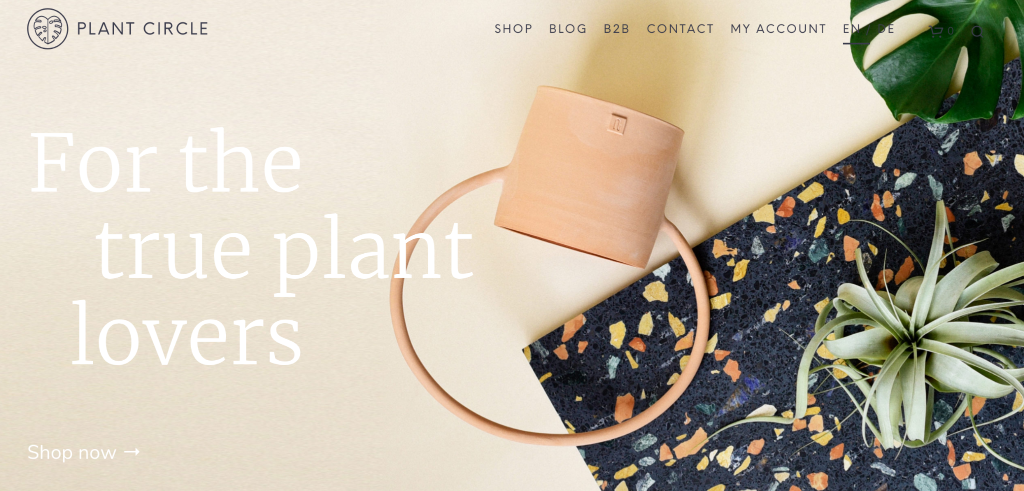 i-turned-my-plant-passion-into-a-1-2m-year-online-plant-store