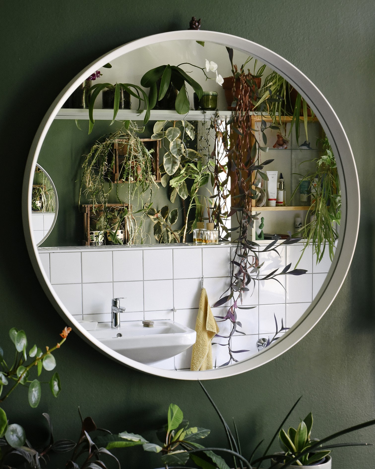 i-turned-my-plant-passion-into-a-1-2m-year-online-plant-store