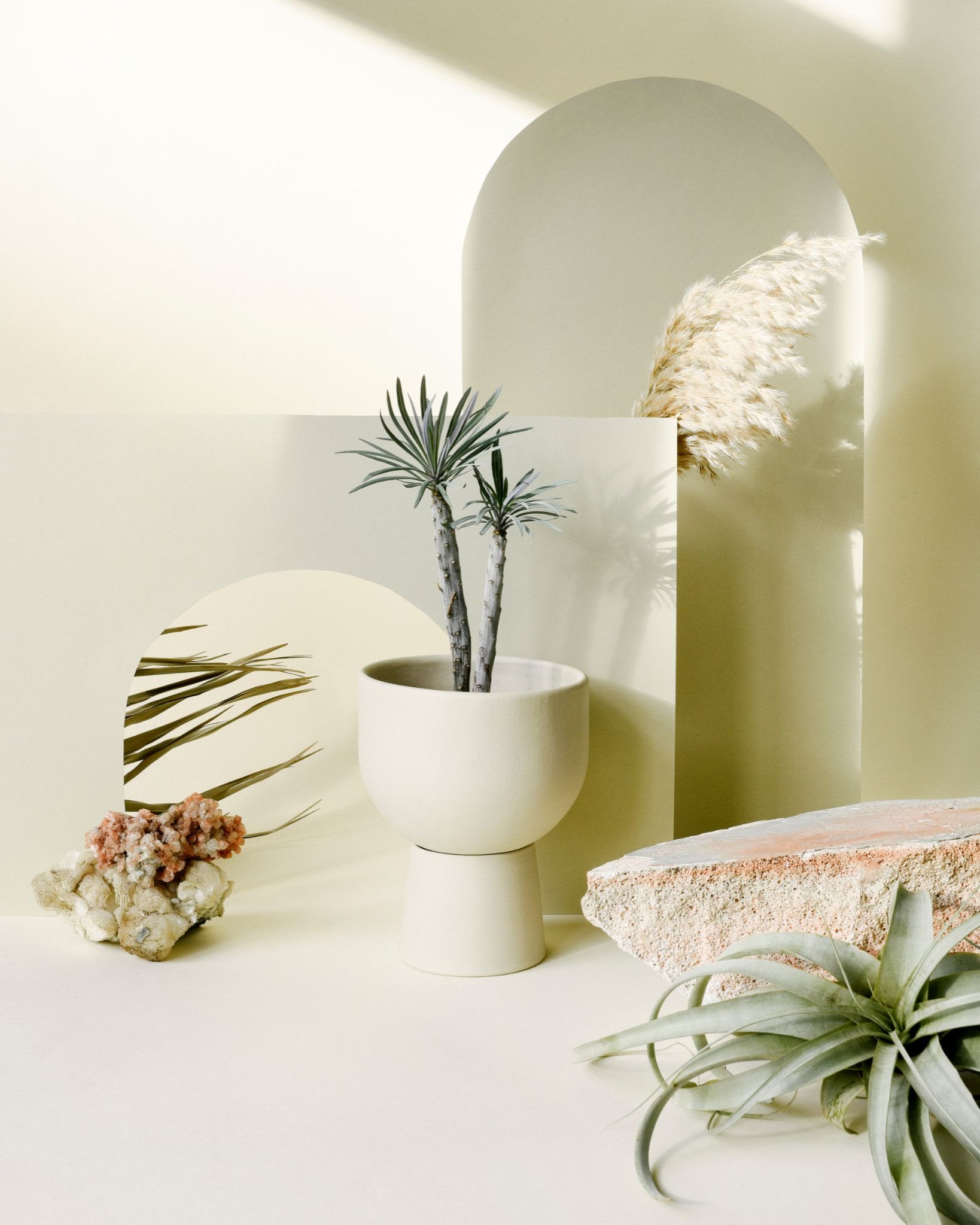 i-turned-my-plant-passion-into-a-1-2m-year-online-plant-store