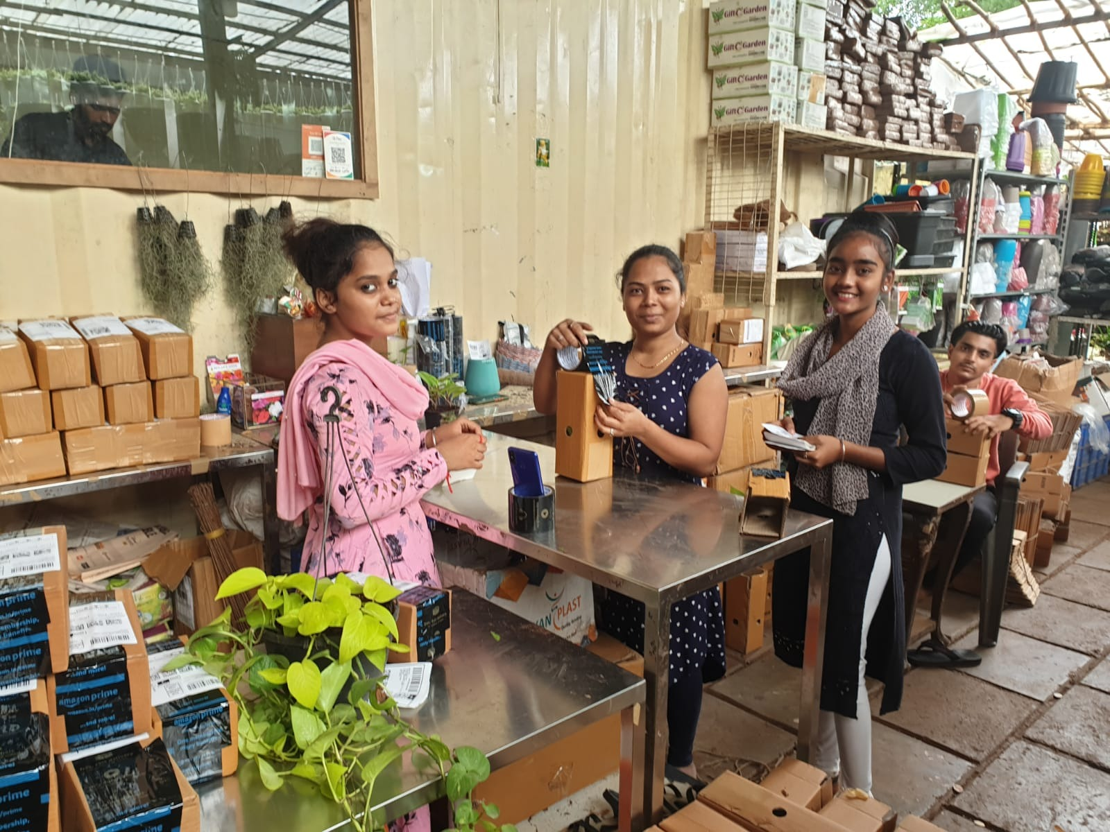 from-investment-banker-to-starting-a-350k-year-plants-ecommerce