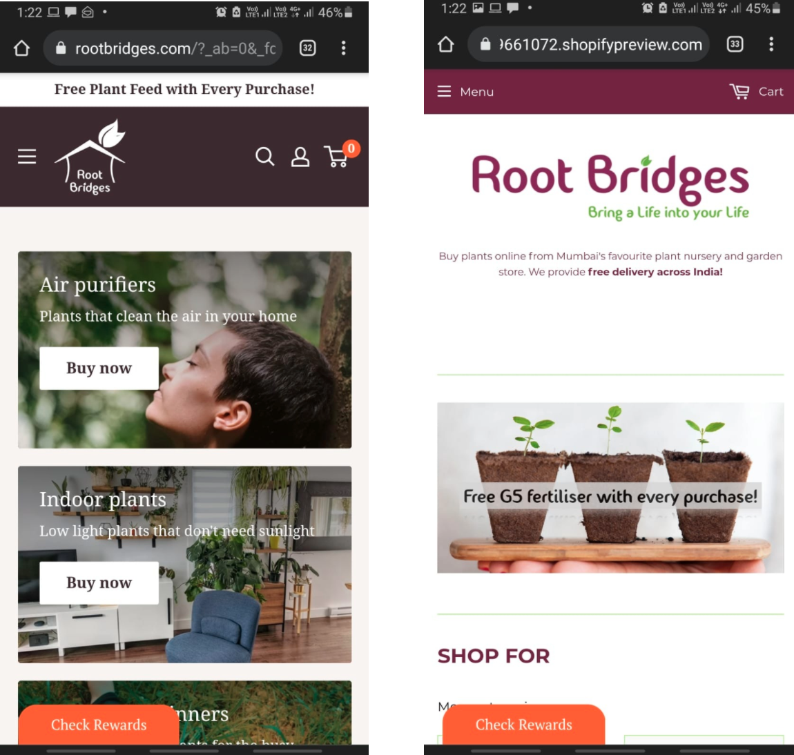 from-investment-banker-to-starting-a-350k-year-plants-ecommerce