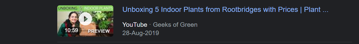 from-investment-banker-to-starting-a-350k-year-plants-ecommerce