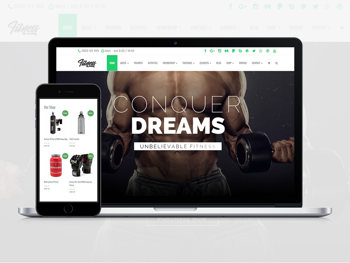 we-started-a-360k-year-business-selling-wordpress-themes-and-plugins-from-brazil