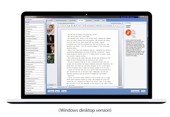 how-i-created-a-60k-year-software-for-novel-writers