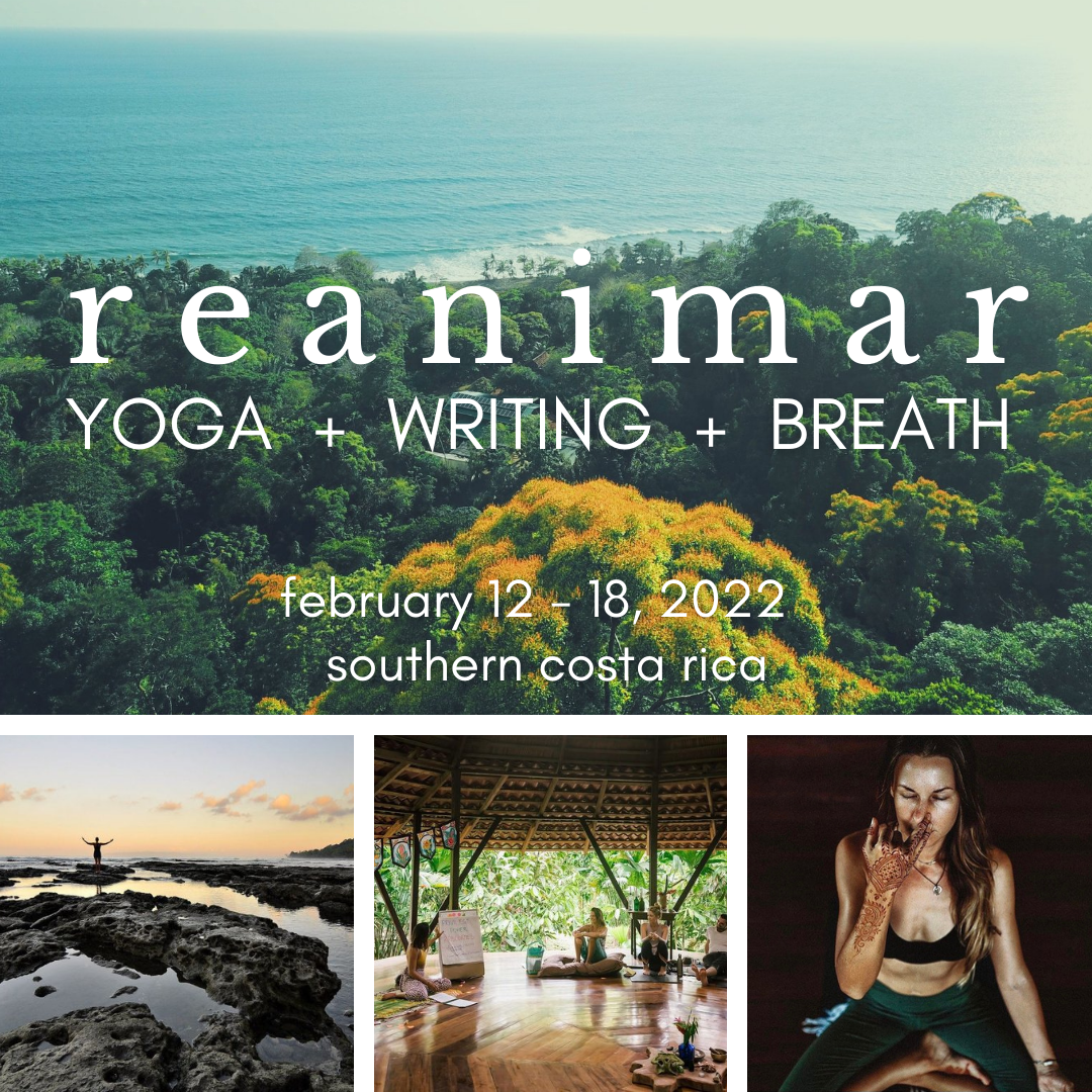 yoga-trade