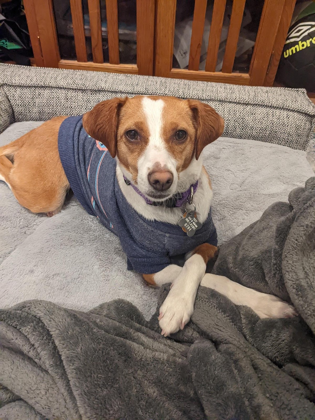 snuggle-with-sam